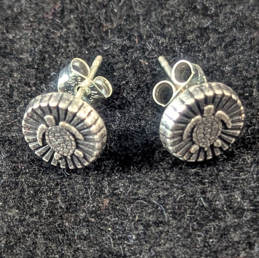 Silver Sea Turtle Stud Earrings
